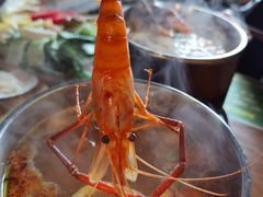 -Thai Basil罗勒叶泰式餐厅(时代天街店)