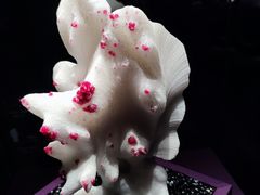 -山东博物馆