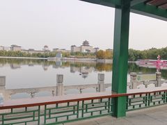 -莲花池公园