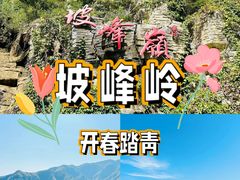 -周口店坡峰岭风景区