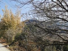 -福建天门山