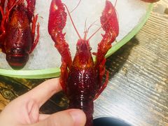 -赤甲皇(仙霞路店)