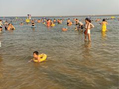 -碧海金沙