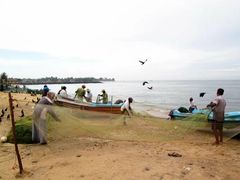 -尼甘布海鲜市场