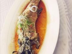 黄焖鲟龙鱼-饭怕鱼(阳光100店)