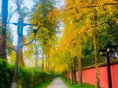 -成都武侯祠博物馆