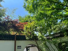 -上海醉白池公园