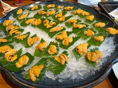 -月龍吟(朝龙汇店)
