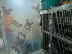 -爱贝特动物医院·猫口炎专科