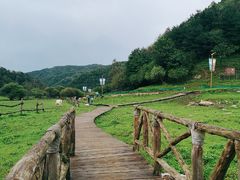 -大水川景区