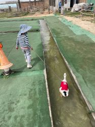-上美四季动物农场