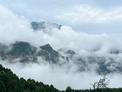 -融汇温泉