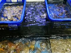 -龙溪海鲜酒家(溪涌店)