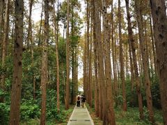 -同里国家湿地公园
