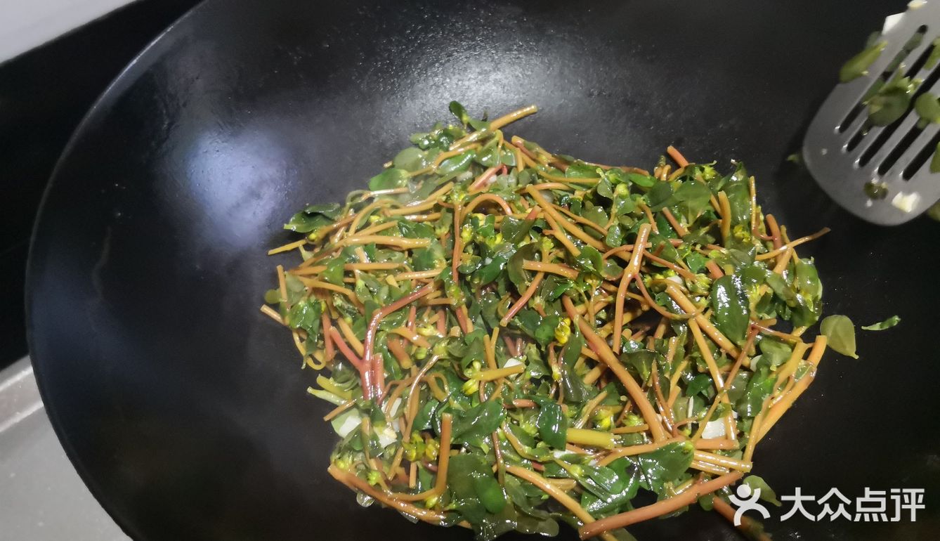 清炒马齿苋家庭餐桌必备的一道菜