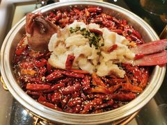 沸腾东星斑-禧瑞都大饭店(吊桥路店)