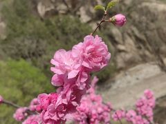 -北京凤凰岭