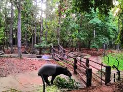 -清迈夜间动物园