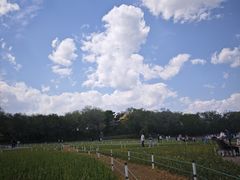 -北陵公园