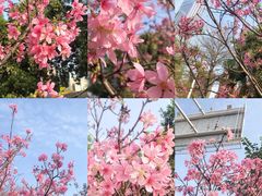 -文华公园(禅城区)