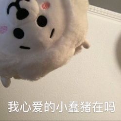 -HQ半永久纹绣纹眉