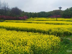 -杏花村文化旅游区