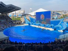 -上海海昌海洋公园