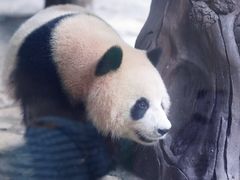 -乐和乐都主题乐园