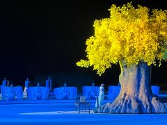 -鼎盛王朝康熙大典实景演出