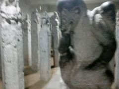 -西安关中民俗艺术博物院