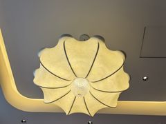 -三猫黑鱼花(南大店)