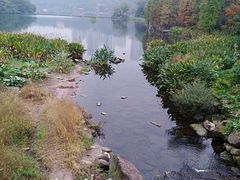 -重庆彩云湖湿地公园