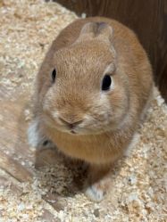 -Zoolung Zoolung动物主题公园(海信广场店)