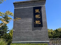 -莲花池公园