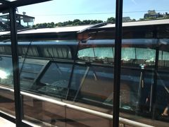 -Bateaux Mouches塞纳河游船