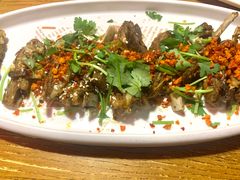 -新白鹿餐厅(百联中环店)