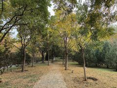 -永定河休闲森林公园