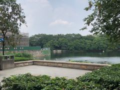 -荔湾湖公园