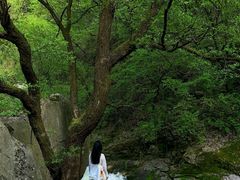 -少华山国家森林公园
