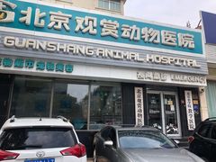 -北京观赏动物医院·24小时大型综合·猫专科·异宠专科