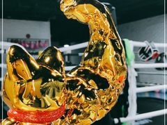 -ALIV WELLNESS运动健身(浦东大道店)