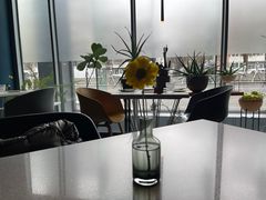 靠窗位-半山腰·云南菜(侨福芳草地店)