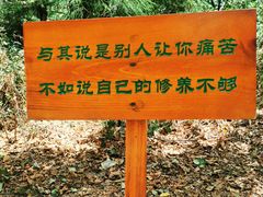 -苍山感通索道