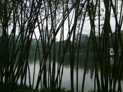 android_upload_pic-晓港公园