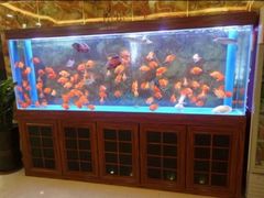 -尊足养生·影院足道·主题spa·采耳(浦江店)