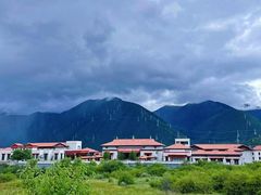 -林芝工布庄园希尔顿酒店-猎味中餐厅