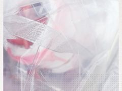 -爱维尔阳光蛋糕(汇金广场店)