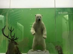 -国家自然博物馆