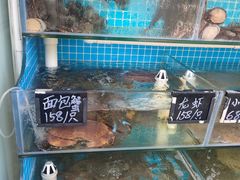 -北戴河庆山饭店·海鲜砂锅粥(北戴河黑石路店)