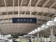 -深圳坪山站